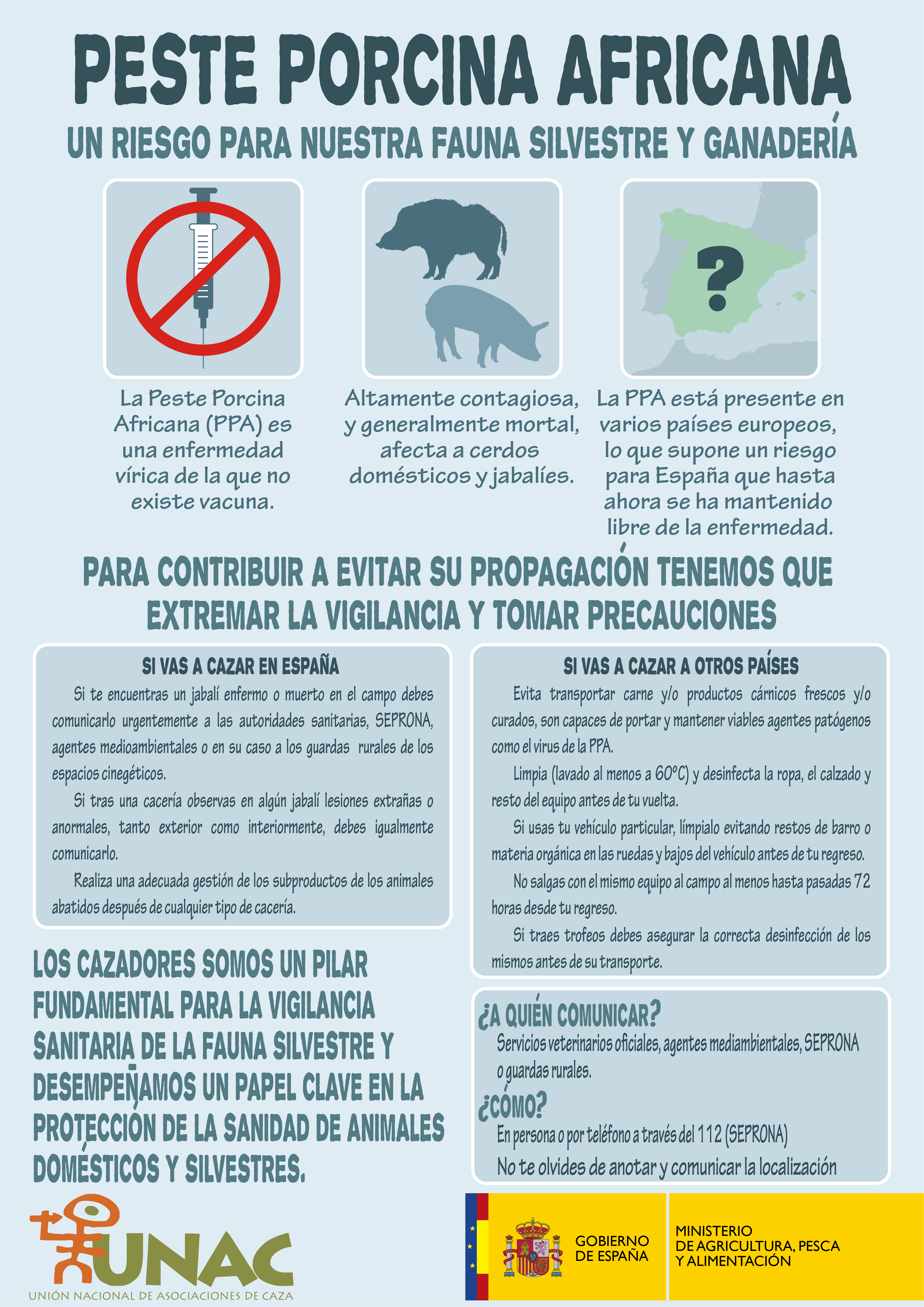 Infografía sobre la Peste Porcina Africana (PPA)